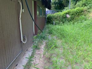 Before